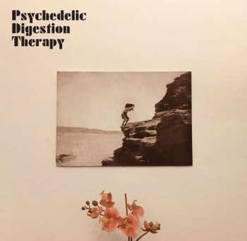 LP Psychedelic Digestion Therapy: Psychedelic Digestion Therapy