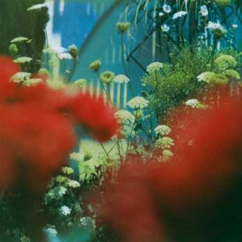 LP Pulled Apart By Horses: The Haze LTD | CLR