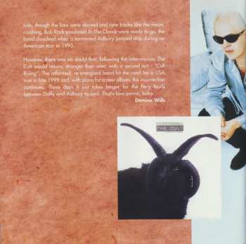 CD The Cult: Pure Cult - The Singles 1984 - 1995