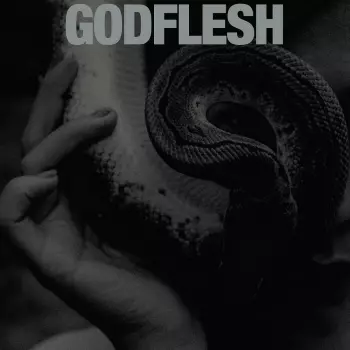 Godflesh: Purge