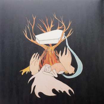LP/CD Purity Ring: Shrines LTD | CLR