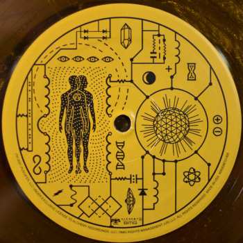 2LP Puscifer: Live At Arcosanti CLR
