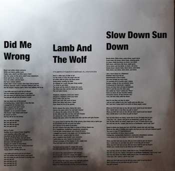 2LP CocoRosie: Put The Shine On LTD | CLR