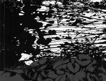 CD Putrescence: Fatal White Pustules Upon Septic Organs
