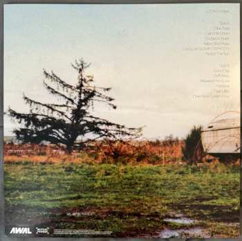 LP Quinn XCII: LOOK! I'm Alive