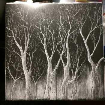 LP Radiohead: The King Of Limbs