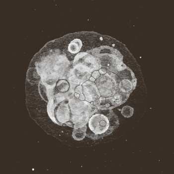 Album Rafael Toral: Moon Field