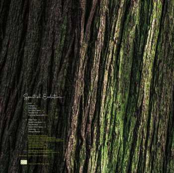 LP Rafael Toral: Spectral Evolution