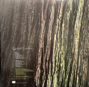 LP Rafael Toral: Spectral Evolution