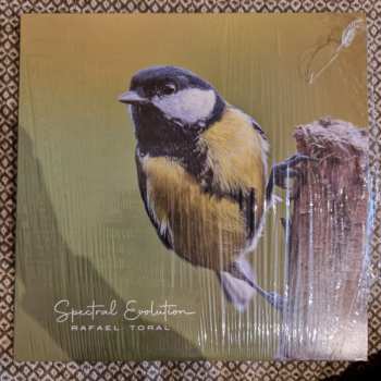 LP Rafael Toral: Spectral Evolution