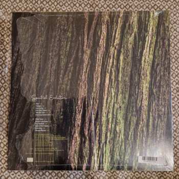 LP Rafael Toral: Spectral Evolution