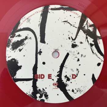 2LP Rag'n'Bone Man: Life By Misadventure LTD | CLR