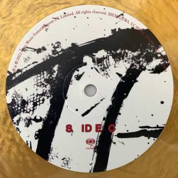 2LP Rag'n'Bone Man: Life By Misadventure CLR | LTD