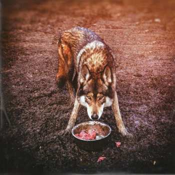 LP Rag'n'Bone Man: Wolves