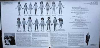 LP Galt MacDermot: DisinHAIRited