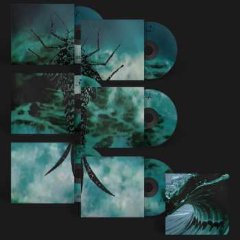6CD/Set di cofanetti Rainforest Spiritual Enslavement: Water Witches