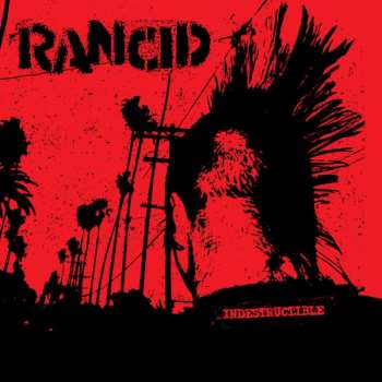 2LP Rancid: Indestructible