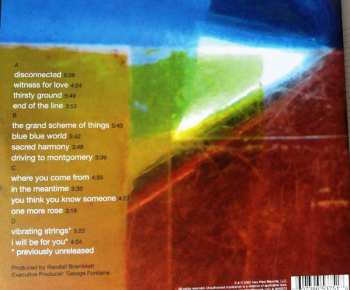 2LP Randall Bramblett: The Meantime 10th Anniversary Edition CLR