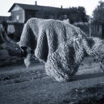 Album Random Gods: Pneuma