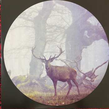 2LP Raphael Gimenes: Dinamarca