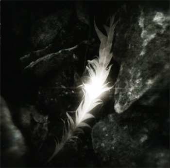 Album Rapture: Silent Stage