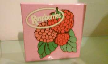 4CD/Set di cofanetti Raspberries: Classic Album Set