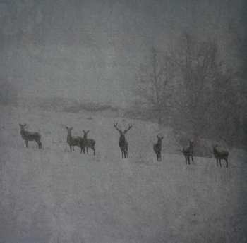 2LP Rauhnacht: Winterstille CLR | LTD