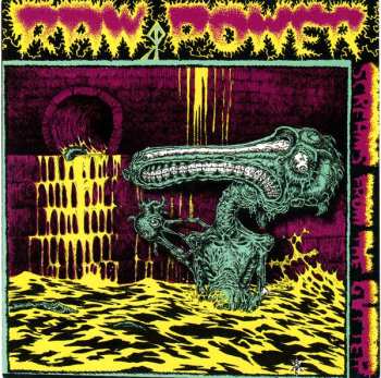 CD Raw Power: Screams From The Gutter / After Your Brain