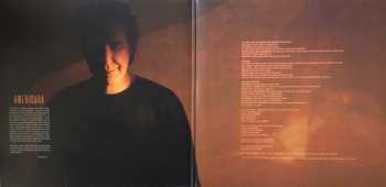 2LP Ray Davies: Americana