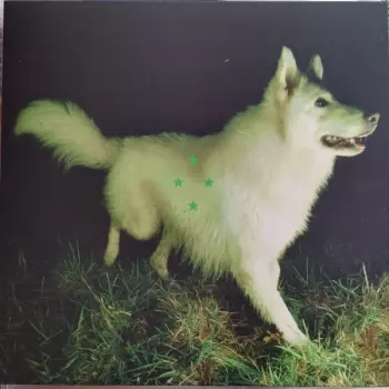 Compare What's There