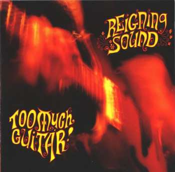 CD Reigning Sound: Too Much Guitar