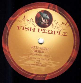 6LP/Set di cofanetti Kate Bush: Remastered In Vinyl III