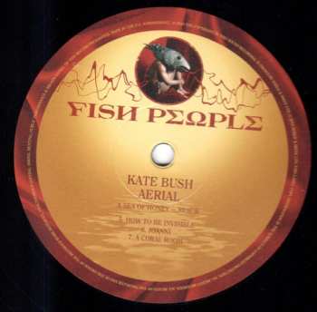 6LP/Set di cofanetti Kate Bush: Remastered In Vinyl III