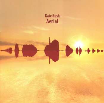 6LP/Set di cofanetti Kate Bush: Remastered In Vinyl III