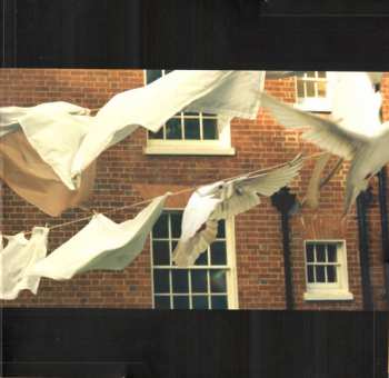 6LP/Set di cofanetti Kate Bush: Remastered In Vinyl III