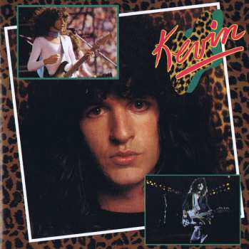 CD REO Speedwagon: Nine Lives LTD