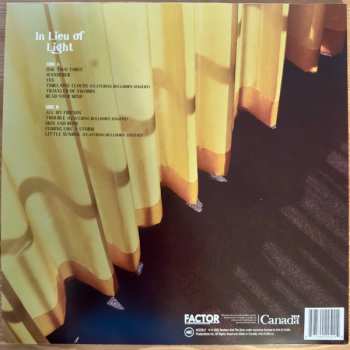 LP Reuben And The Dark: In Lieu Of Light