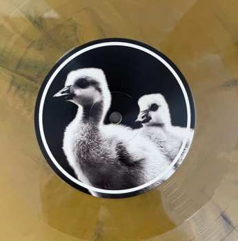 LP Reverse: Behind These Walls