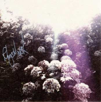 CD Rhys Marsh: The Black Sun Shining