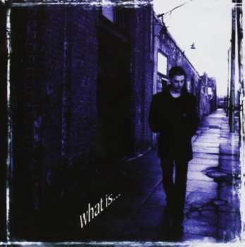 Album Richie Kotzen: What Is ...