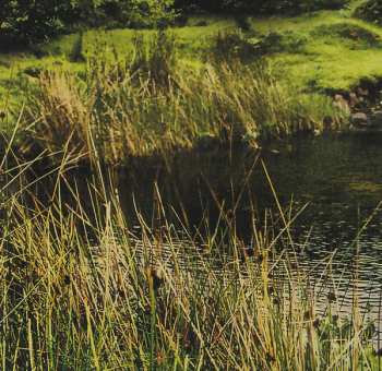 CD Rio En Medio: The Bride Of Dynamite