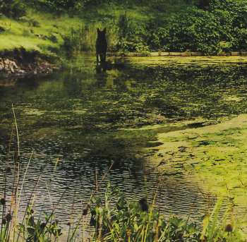 CD Rio En Medio: The Bride Of Dynamite