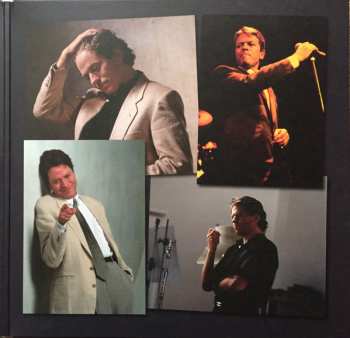 2LP Robert Palmer: Collected