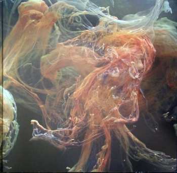 2LP Robot Koch: Hypermoment