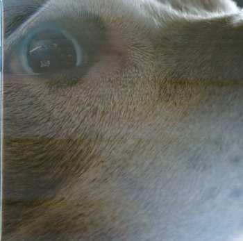 CD Roger Waters: The Dark Side Of The Moon Redux