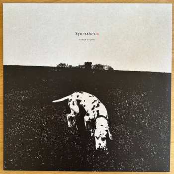 Album Ronan Courty: Synesthesia