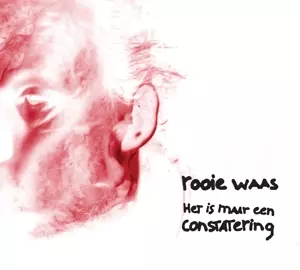 Het is maar een constatering