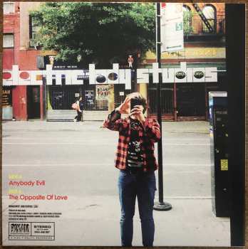LP/SP Ryan Adams: Big Colors CLR
