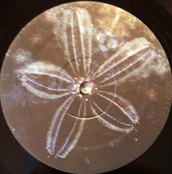 LP Sallie Ford: Soul Sick