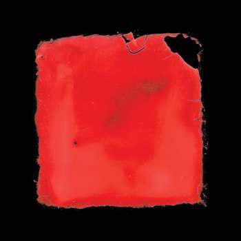 CD Salvia Palth: Last Chance To See